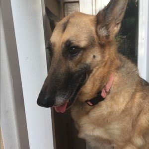 Meet your Posher, Mary